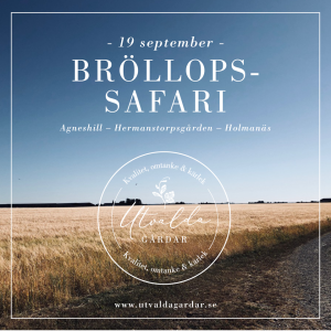 Brollopssafari